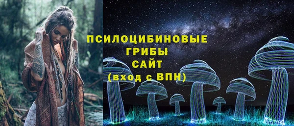 МДПВ Медвежьегорск