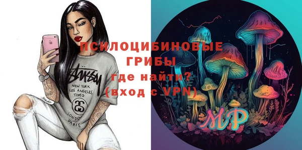 Альфа ПВП Медногорск