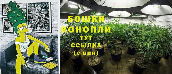 МДПВ Медвежьегорск