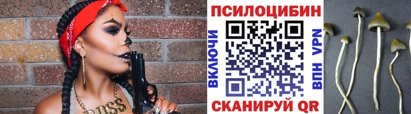 Галлюциногенные грибы Psilocybine cubensis  Купить закладки  Западная Двина 