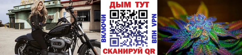 Конопля конопля  Купить где  Западная Двина 